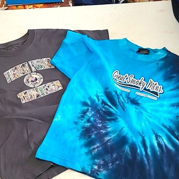 💰 Great Smoky Mountain boys T-shirts size small - Picture 1 of 6